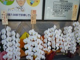 斉藤歯科
