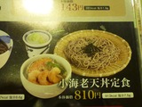 小海老天丼定食