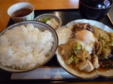 葡萄の木
