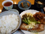 葡萄の木