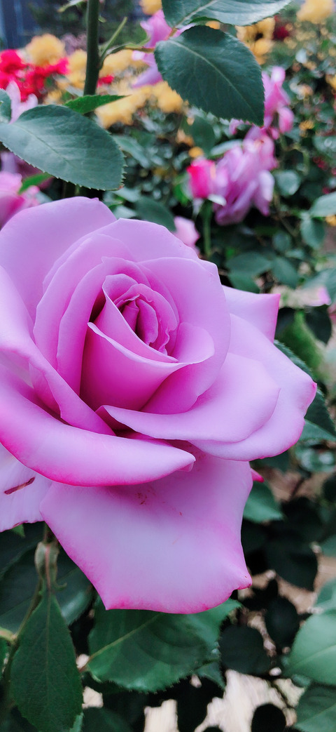 75EB5773-1397-4A90-921C-DFBE15E776C6