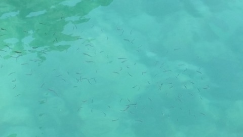 20160423_105304