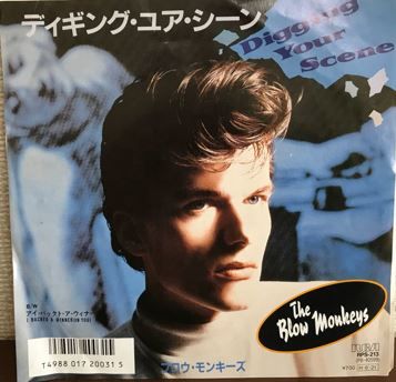Digging Your Scene / ディギング・ユア・シーン（The Blow