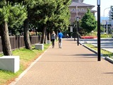 IMG_4152