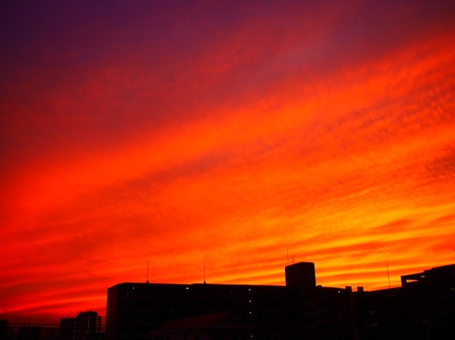 P1950883_Fotor