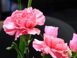 07b8505a.JPG