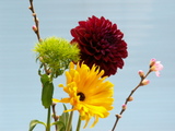 1083e7f8.JPG