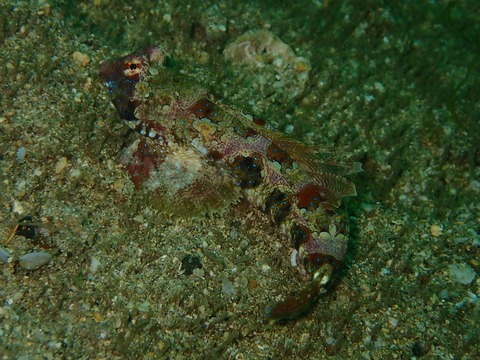 P6250005