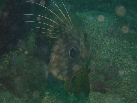 P6061815
