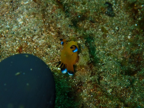 P1250331