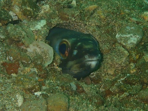 P7040469