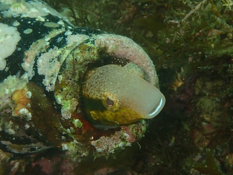 P7040453