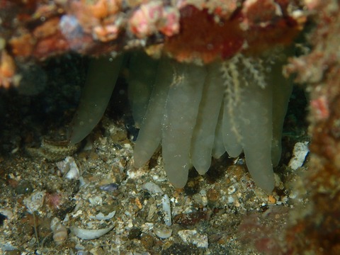 P1250319
