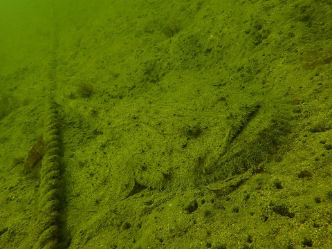 P3051077