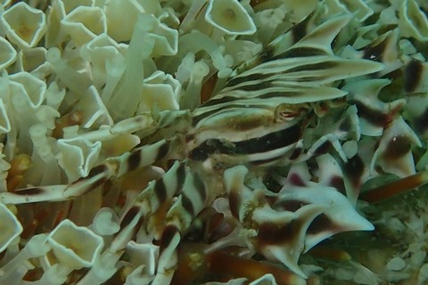P8072118
