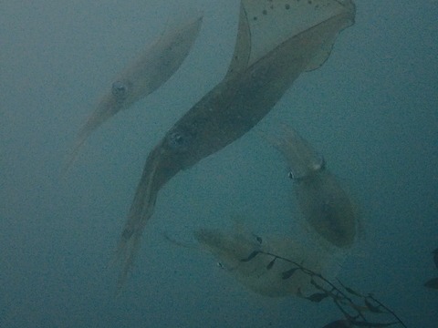 P6250137