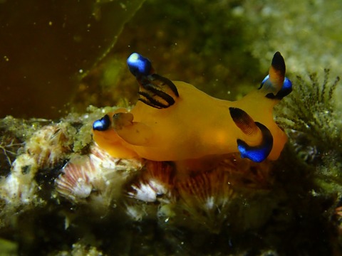 P3081144