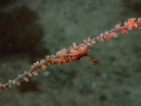 P3171339