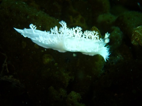 P1250302