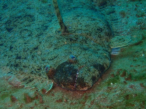 P1240272