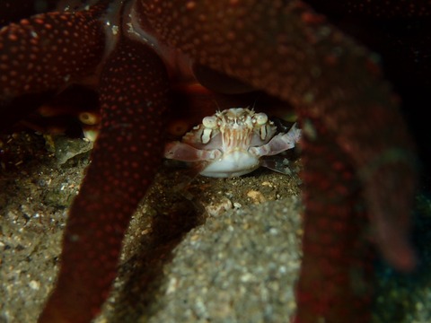 P1150457