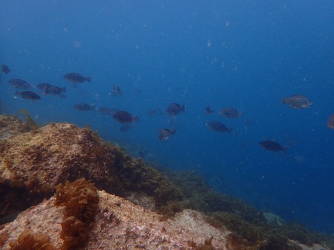 P3230009