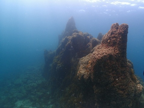 淡島海底 (3)