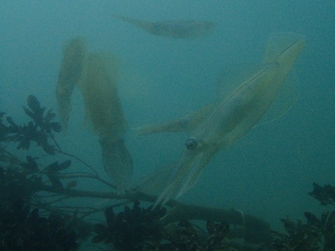 P6250055