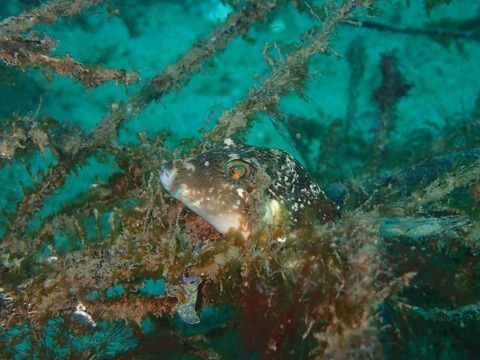 P1090320