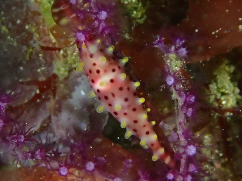 P3081139