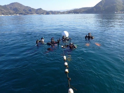 淡島をこれから潜る