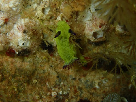 P1090312