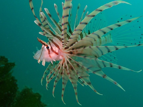 P6250012