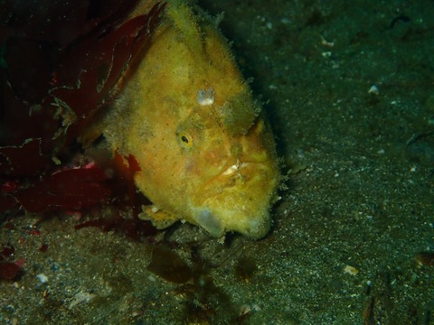 P1260361