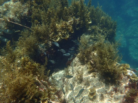 P5290712