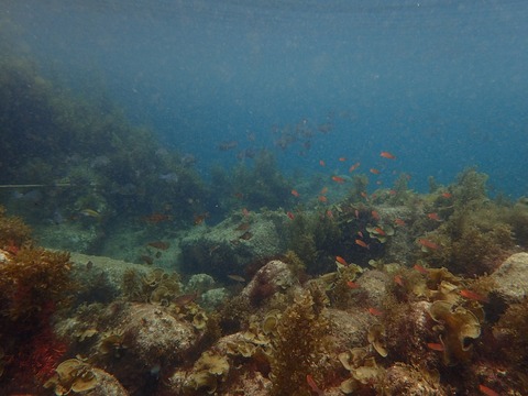 P6260139