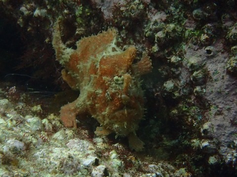 P3290350