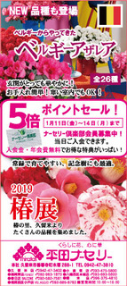 DB83291A-3D54-41DE-942C-6EF4CE91E9DB