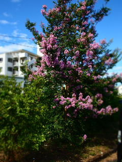P1013714