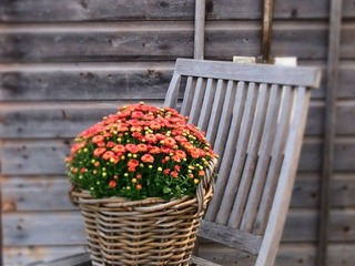 IMG_20180823_150320_919