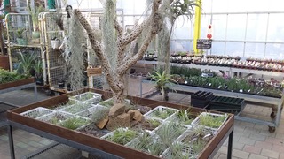 20170402_171658