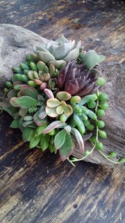 20170524_170916