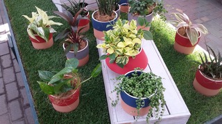 20170520_074255