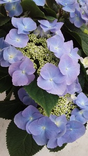 20170320_084755