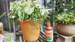 IMG_20180530_100345_558
