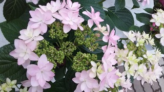 20170320_084807