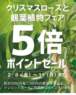 3C46AD4D-E242-4AA2-BEE1-E881819BA5EE