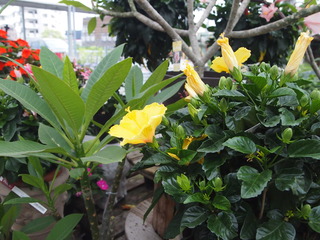 P1015304