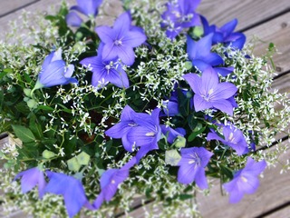 IMG_20180619_102330_796
