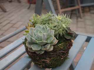 P1015212